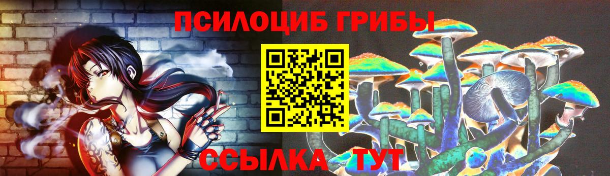 где купить   Вход с VPN  Видное  Псилоцибиновые грибы Psilocybine cubensis 